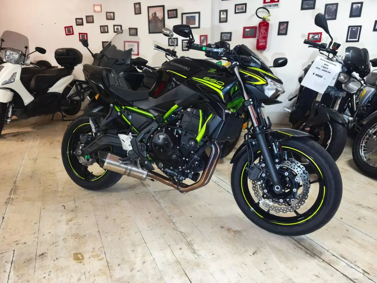 Kawasaki Z 650 (2020) (2)