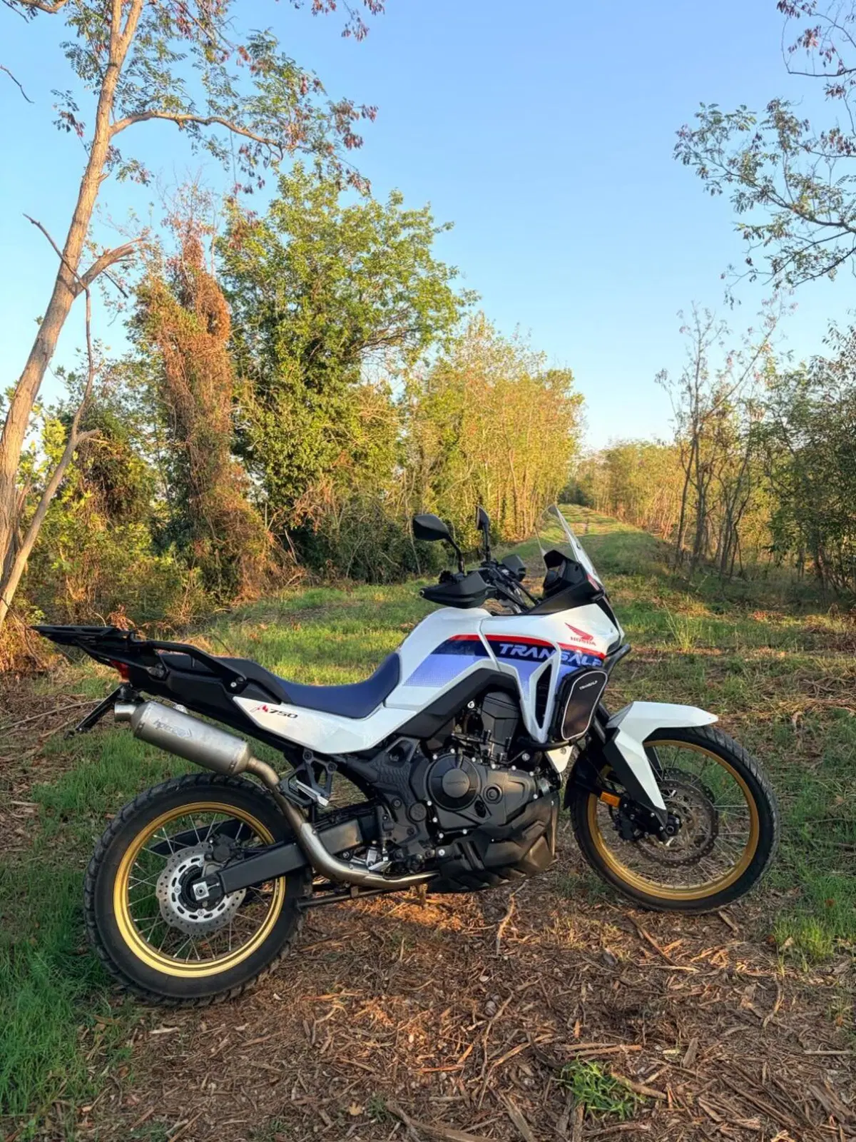 Honda Transalp XL750 (2023 - 24) (2)