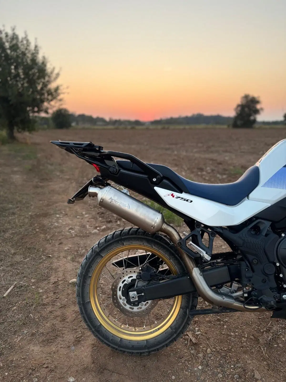 Honda Transalp XL750 (2023 - 24) (4)