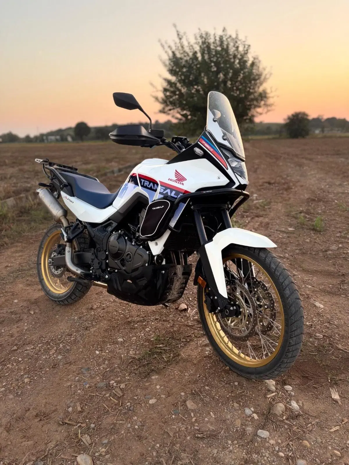 Honda Transalp XL750 (2023 - 24) (7)