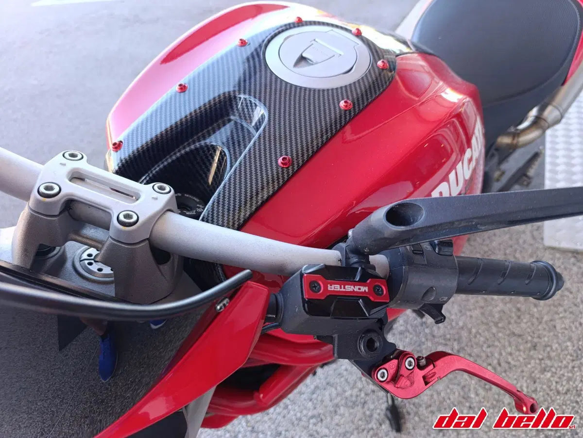 Ducati Monster 796 (2010 - 13) (4)