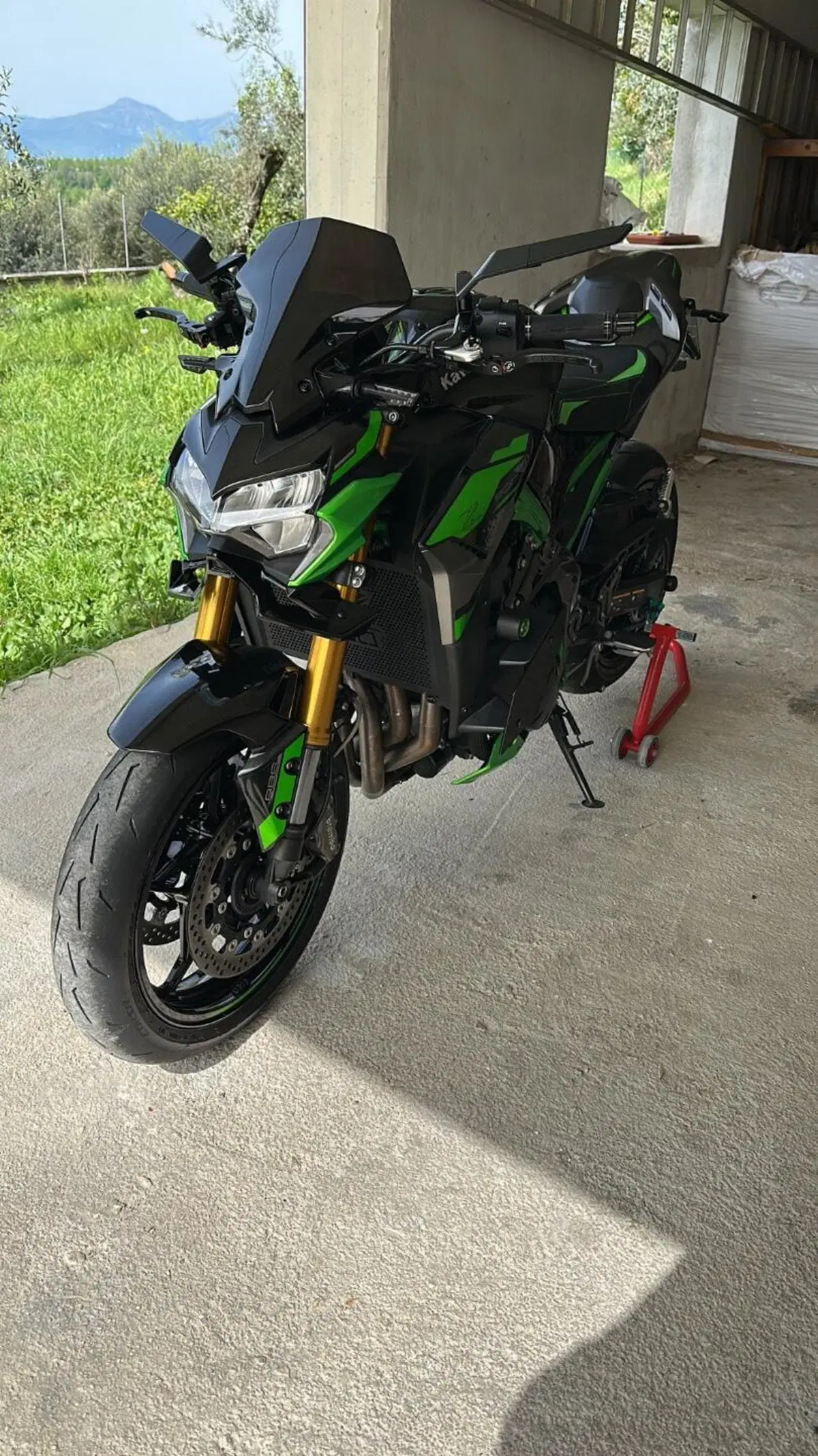 Kawasaki Z 900 SE Performance (2023 - 24) (2)
