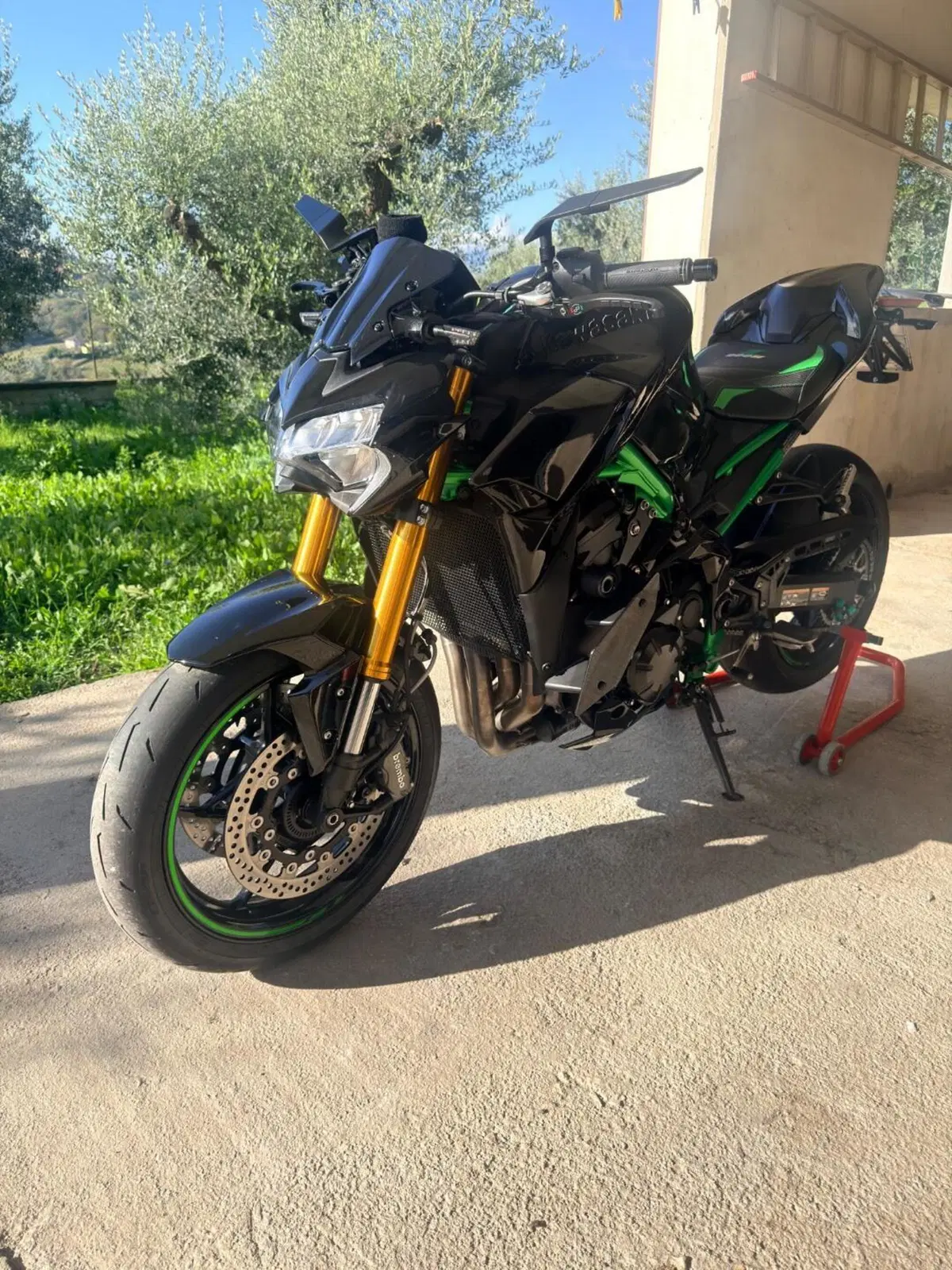 Kawasaki Z 900 SE Performance (2023 - 24) (3)