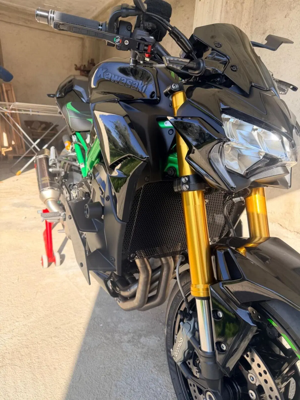 Kawasaki Z 900 SE Performance (2023 - 24) (9)