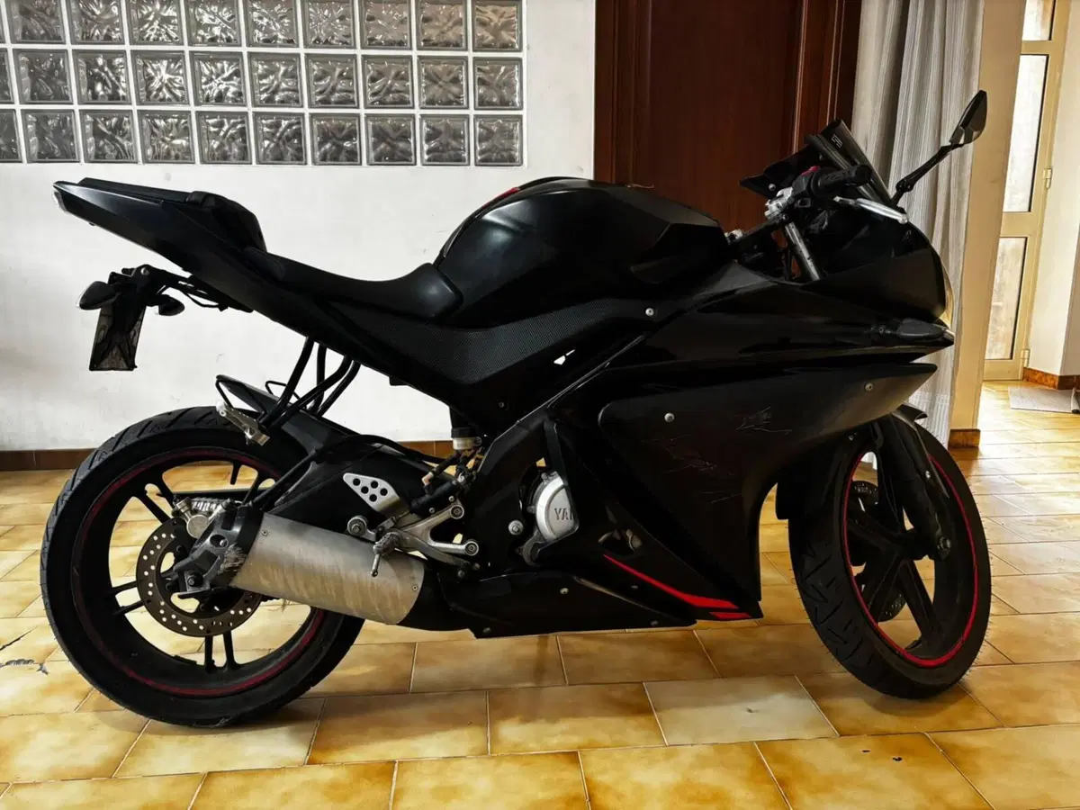 Yamaha YZF R125 (2008 - 13) (12)