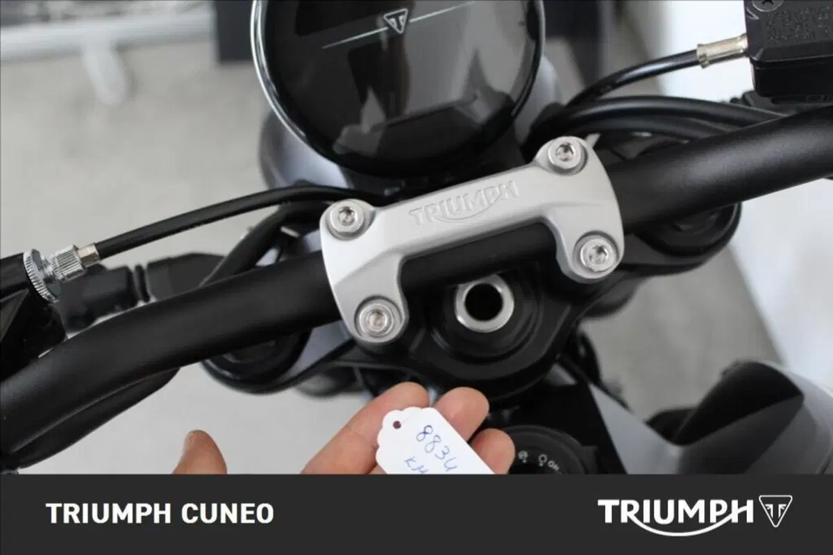 Triumph Trident 660 (2021 - 24) (7)