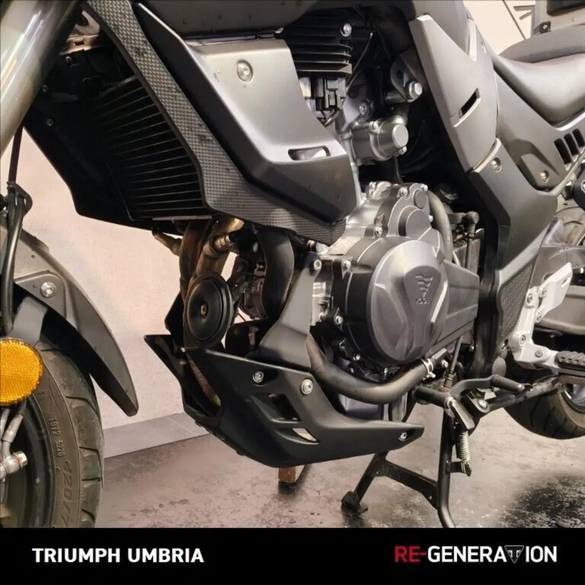 Voge Valico 500DS (2021 - 24) (5)