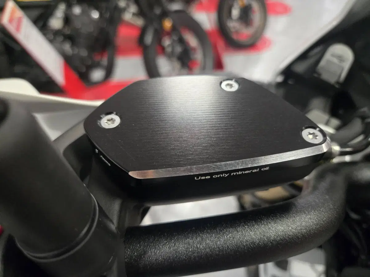 Bmw R 12 G/S (2026 - 27) (7)