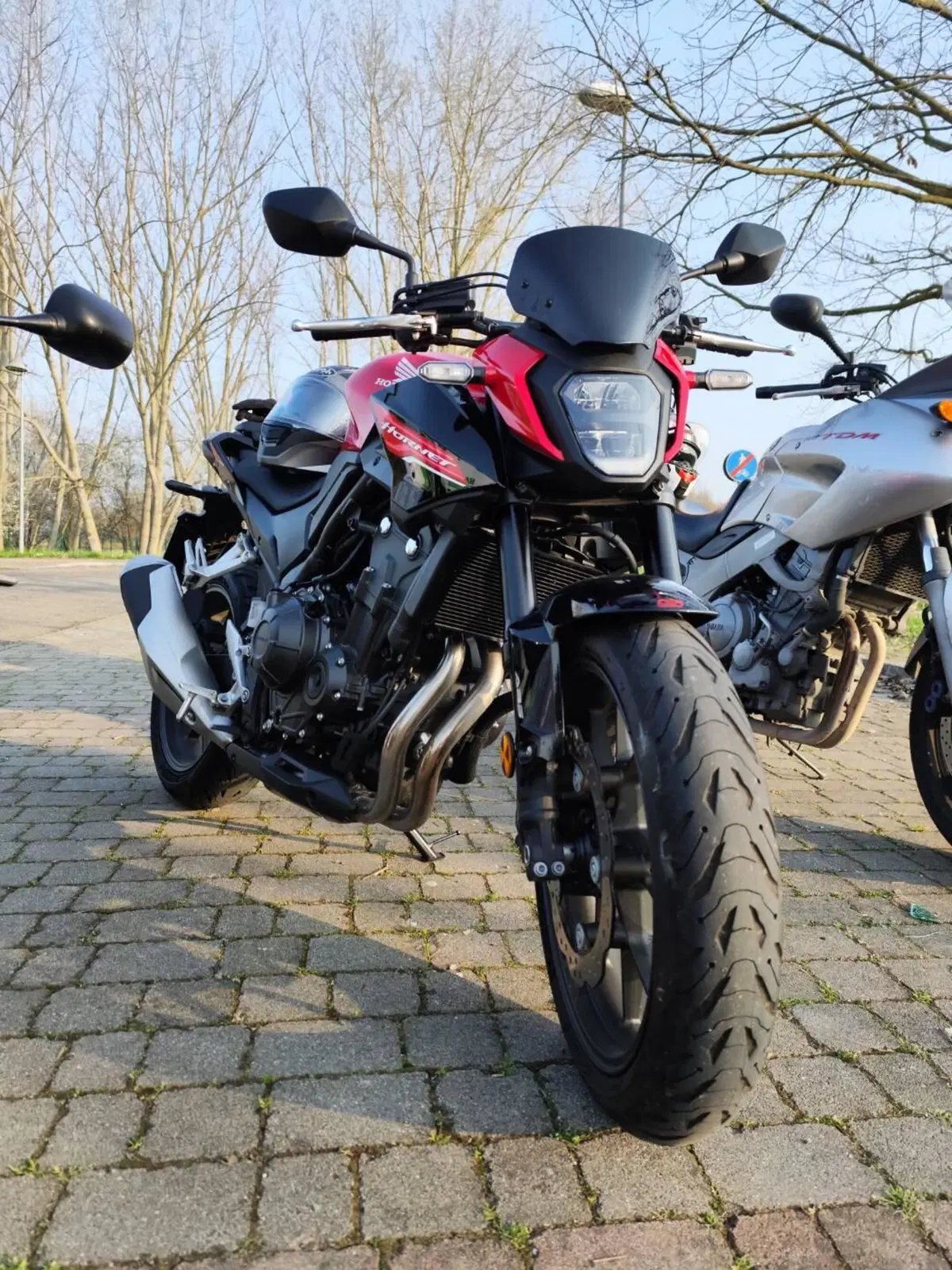 Honda CB 500 Hornet (2024 - 25)