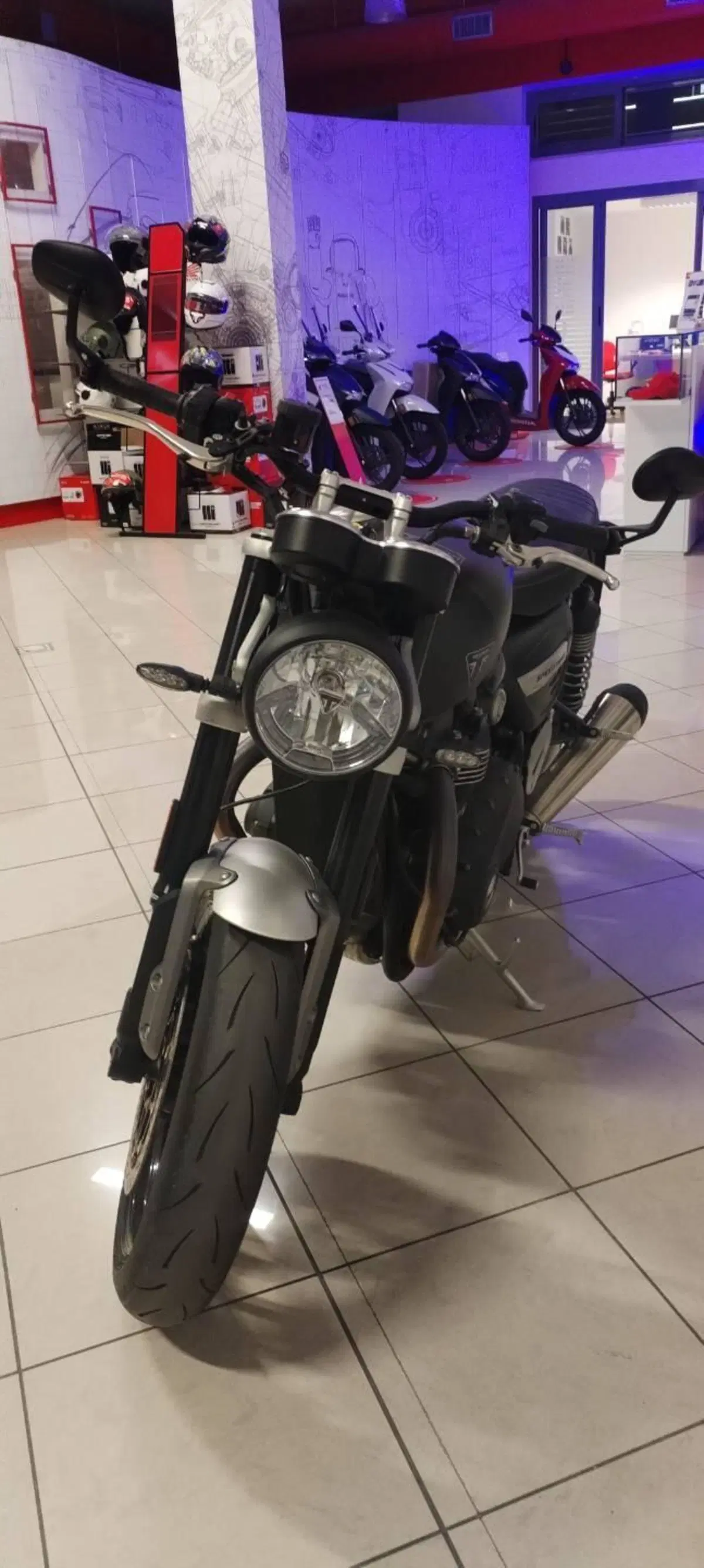 Triumph Speed Twin 1200 (2025 - 26) (3)