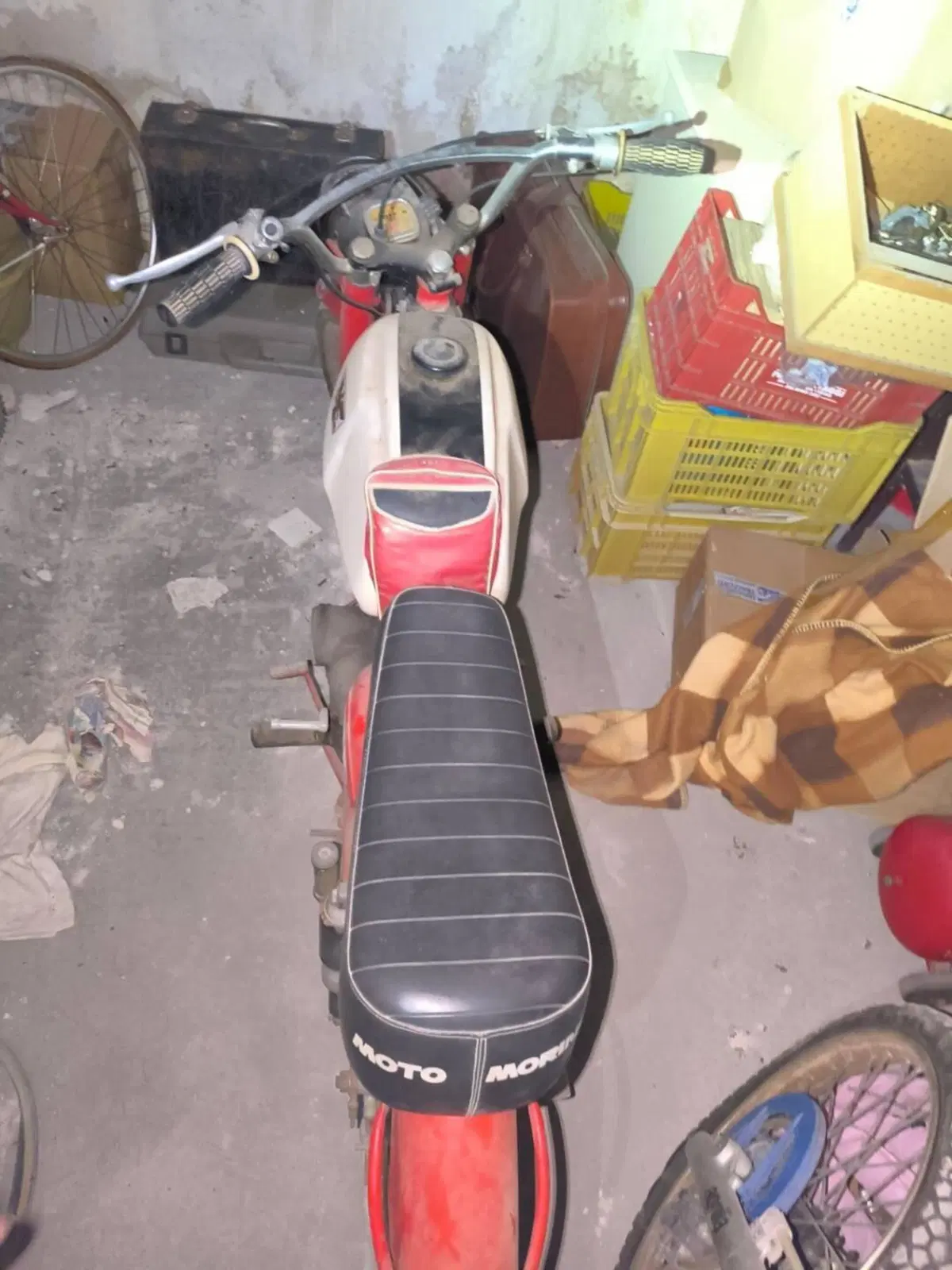 Aprilia Corsaro 60 (3)