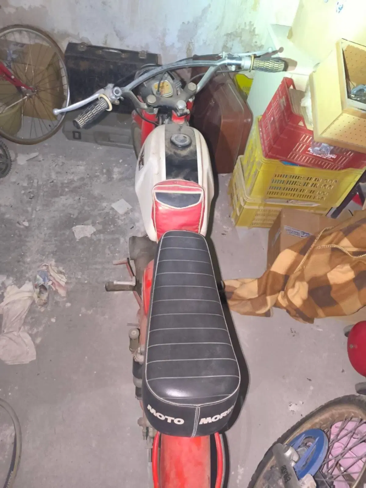 Aprilia Corsaro 60 (4)