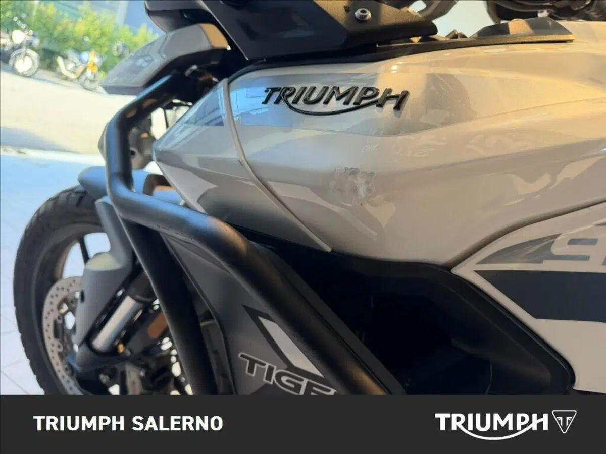 Triumph Tiger 900 GT Pro (2020 - 23) (7)