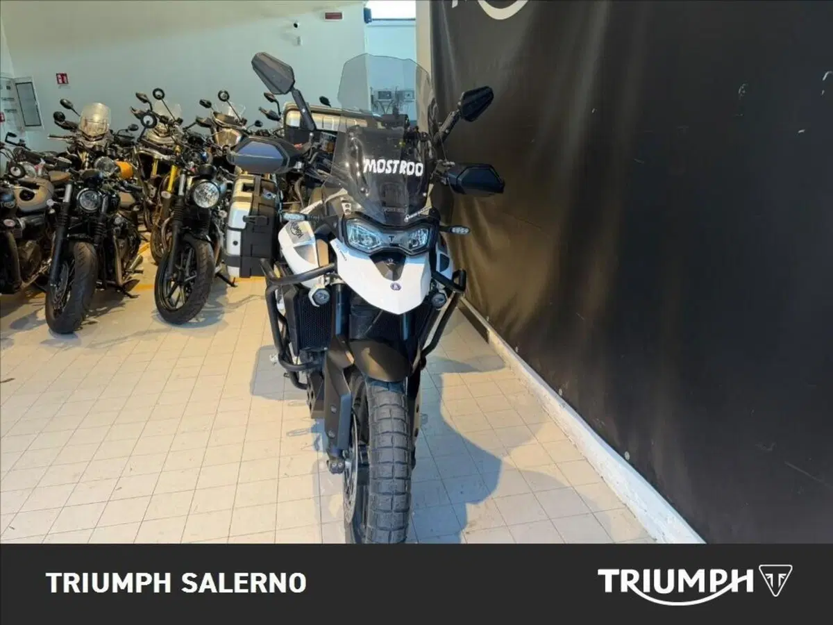 Triumph Tiger 900 GT Pro (2020 - 23) (10)
