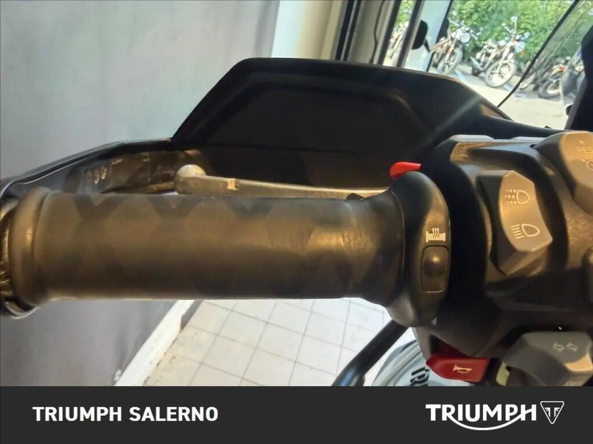 Triumph Tiger 900 GT Pro (2020 - 23) (13)
