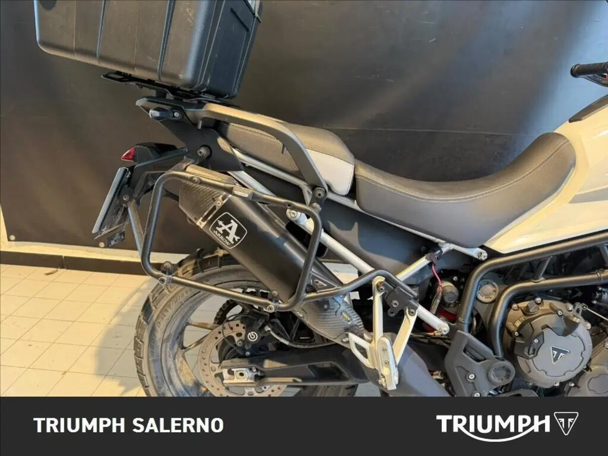 Triumph Tiger 900 GT Pro (2020 - 23) (11)