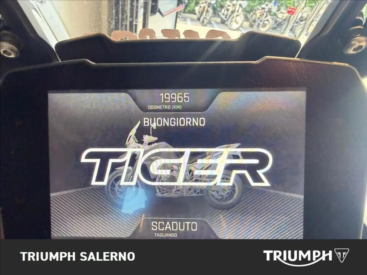Triumph Tiger 900 GT Pro (2020 - 23) (14)