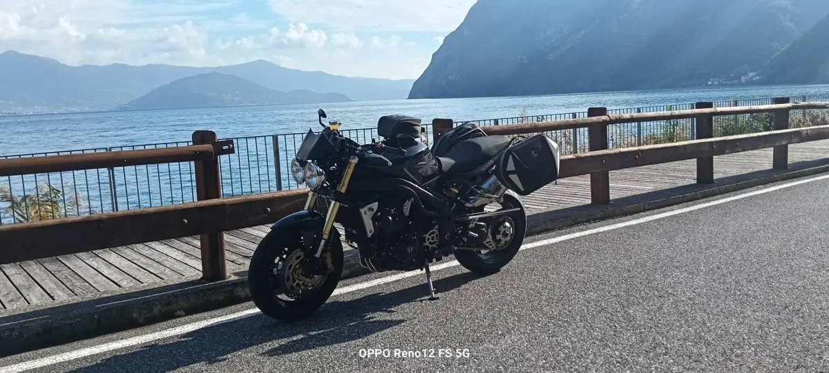 Triumph Speed Triple 1050 (2005 - 11) (2)