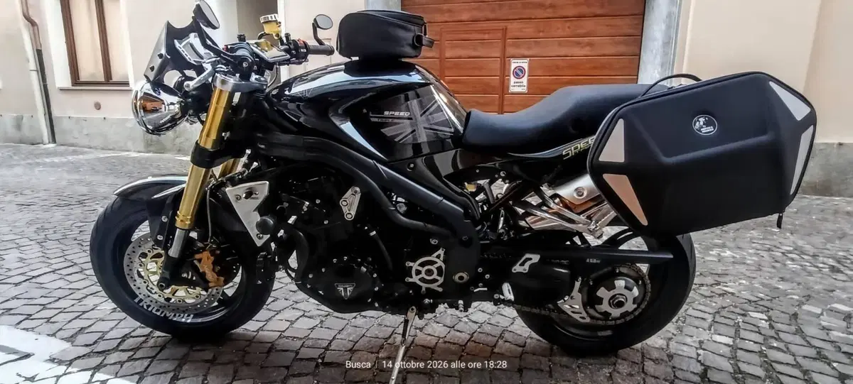 Triumph Speed Triple 1050 (2005 - 11) (3)