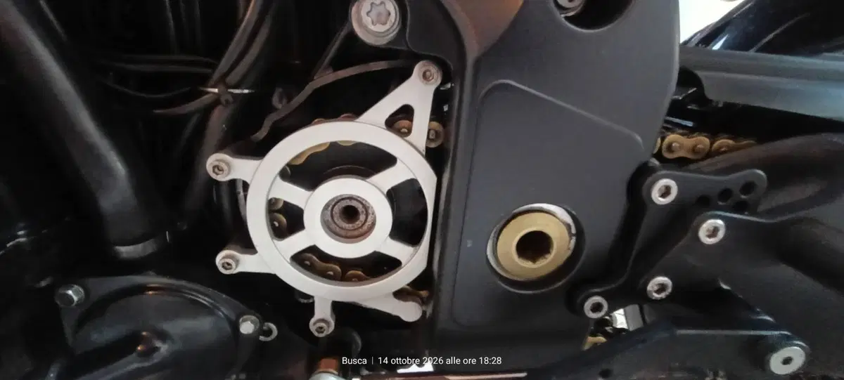 Triumph Speed Triple 1050 (2005 - 11) (4)