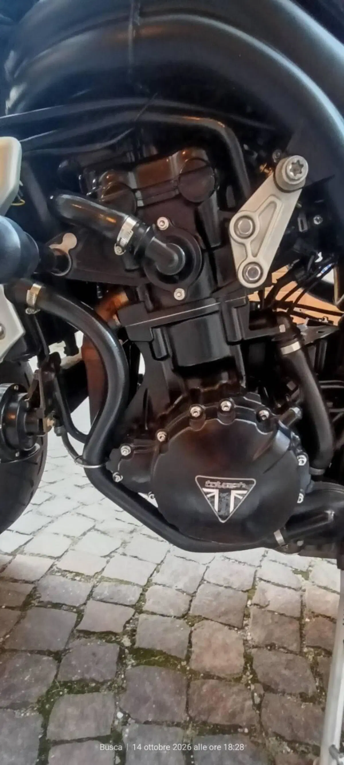 Triumph Speed Triple 1050 (2005 - 11) (5)