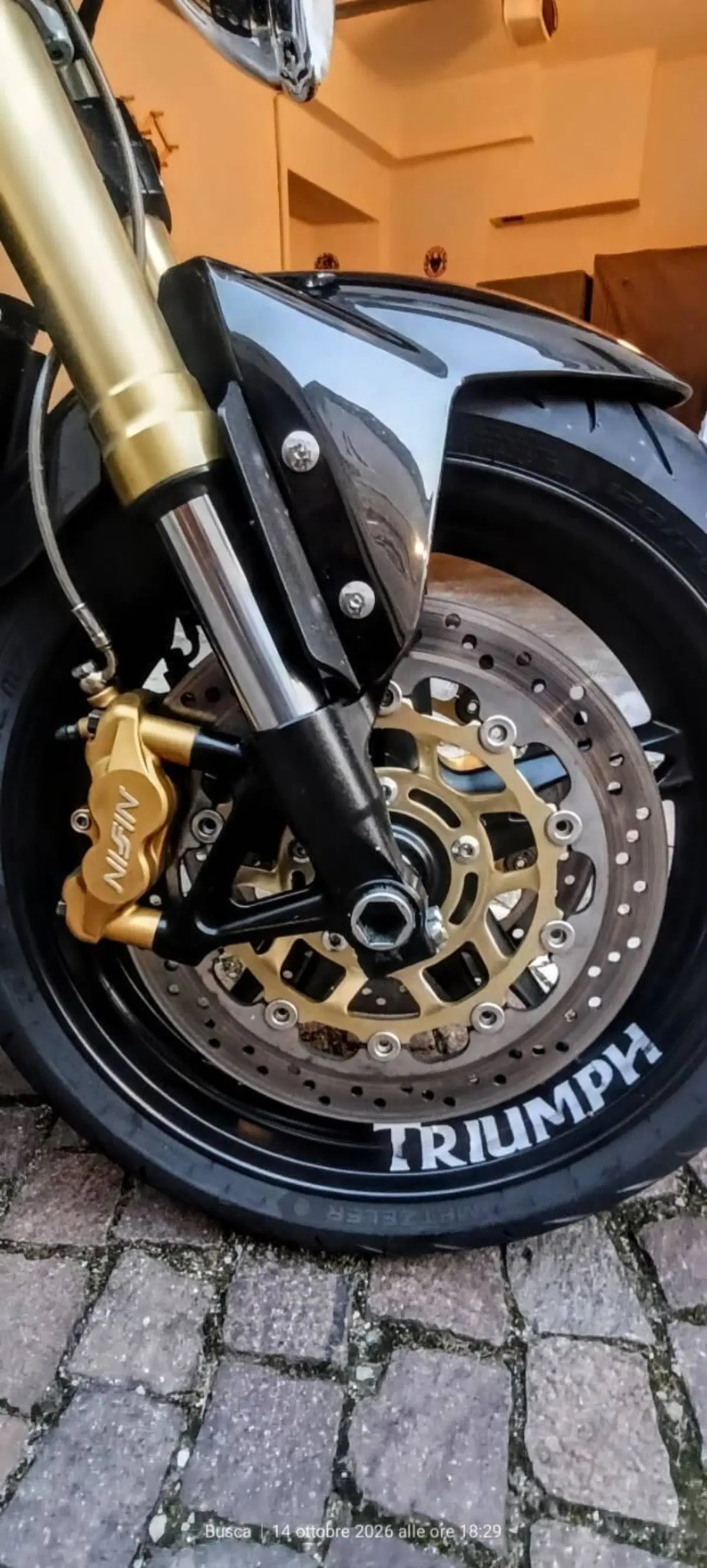 Triumph Speed Triple 1050 (2005 - 11) (7)
