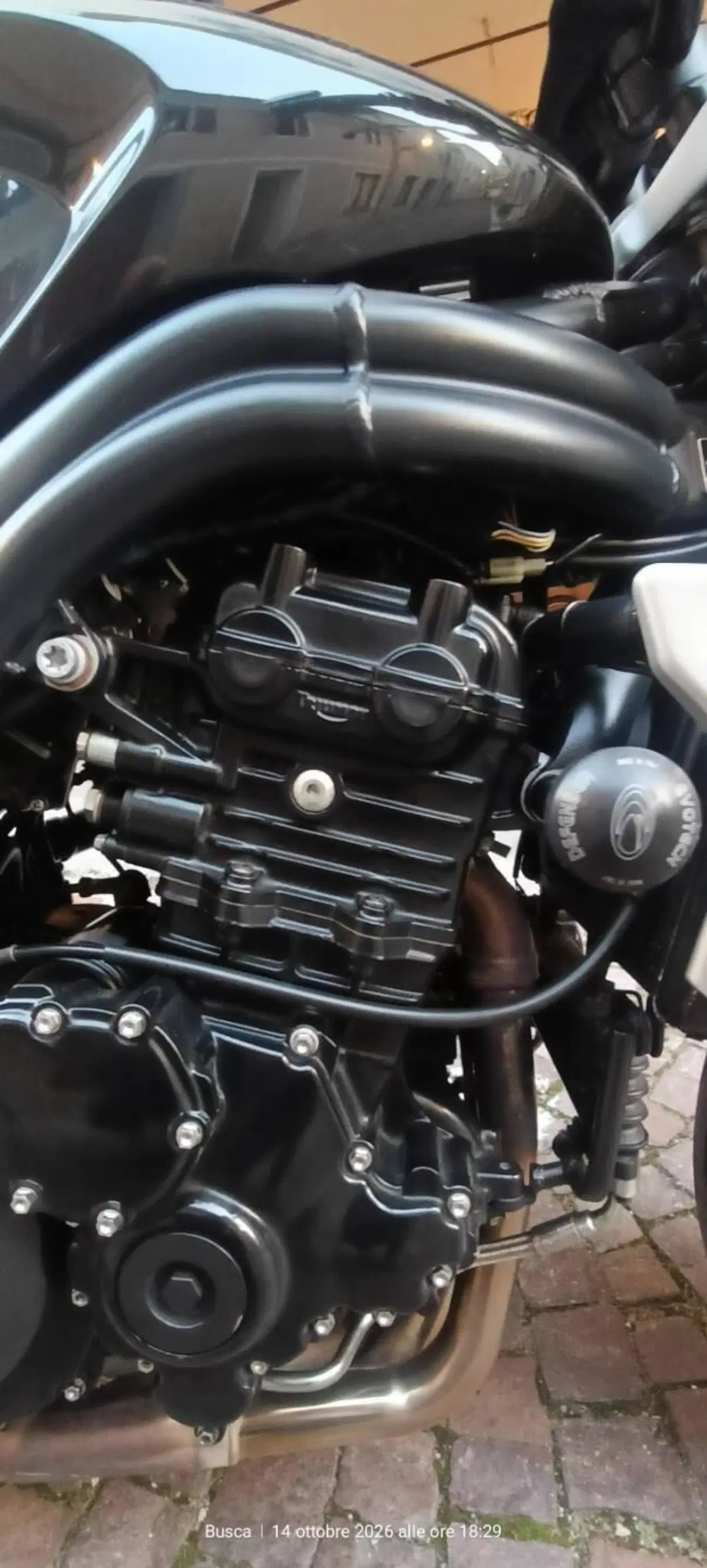 Triumph Speed Triple 1050 (2005 - 11) (14)