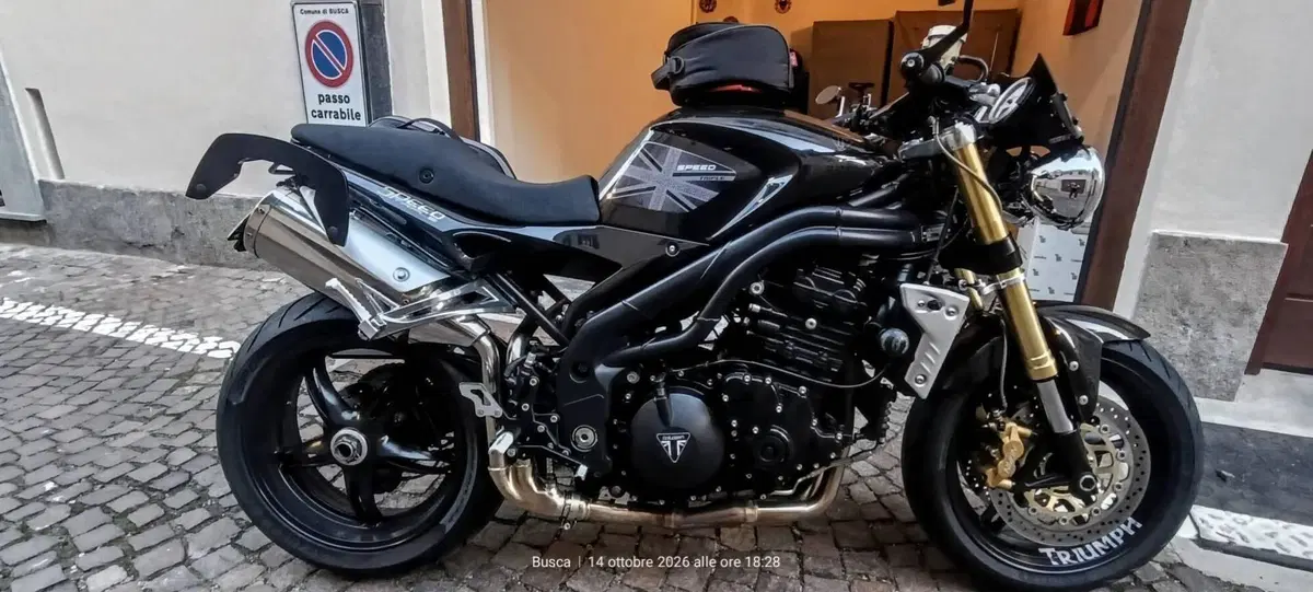 Triumph Speed Triple 1050 (2005 - 11) (8)
