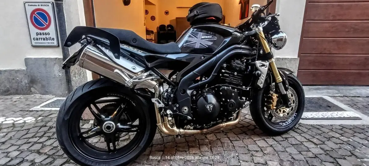 Triumph Speed Triple 1050 (2005 - 11) (10)