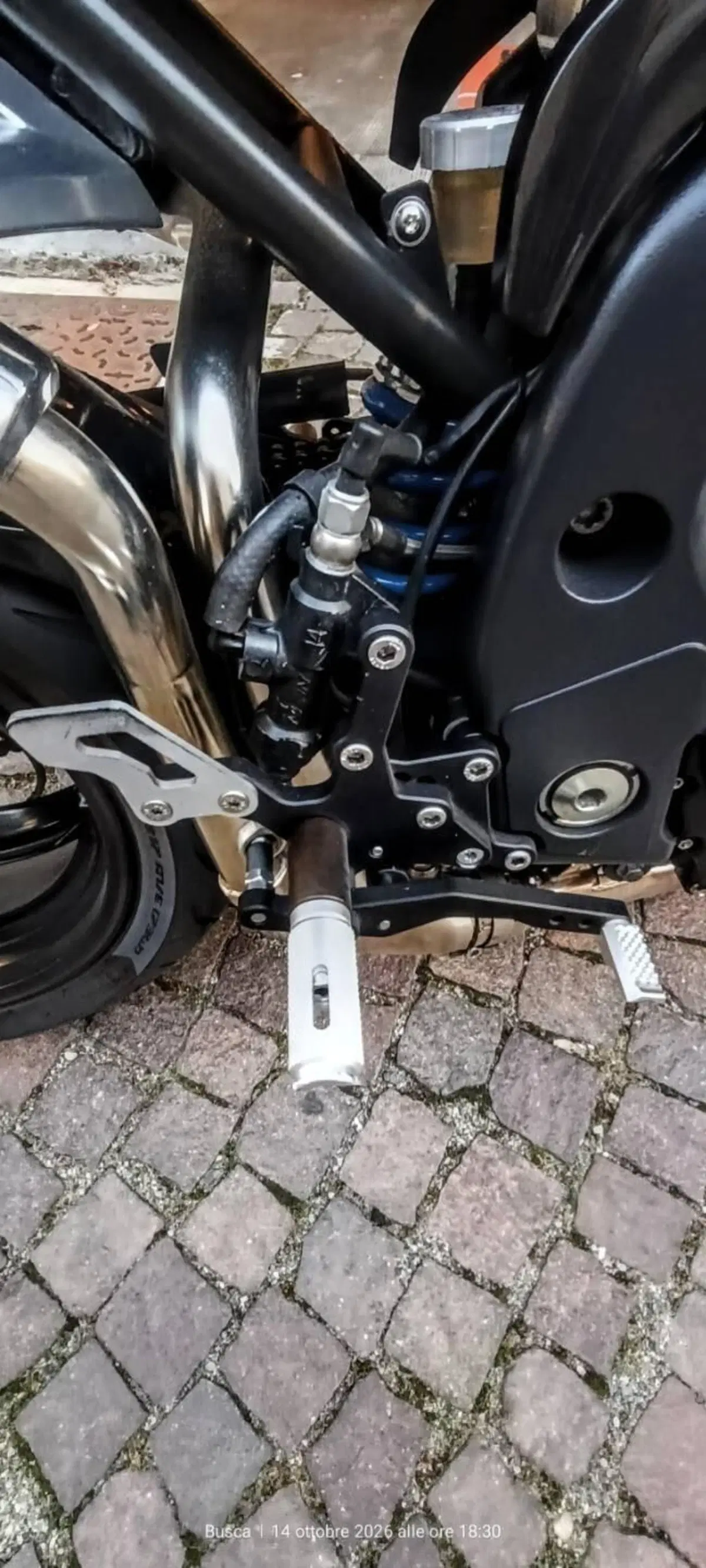 Triumph Speed Triple 1050 (2005 - 11) (12)