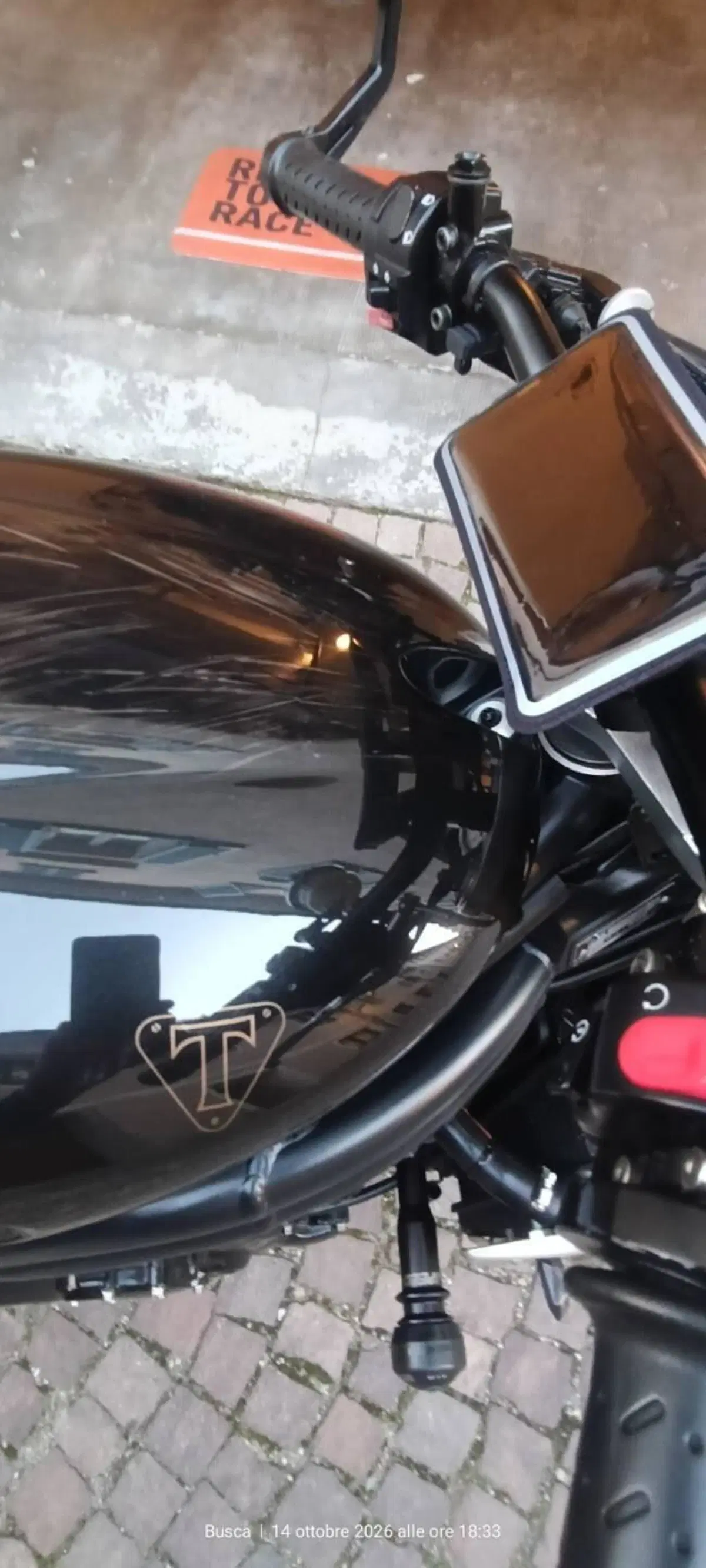 Triumph Speed Triple 1050 (2005 - 11) (20)