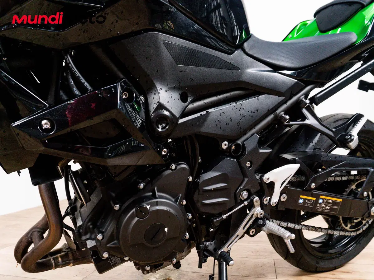 Kawasaki Z 400 (2023) (9)