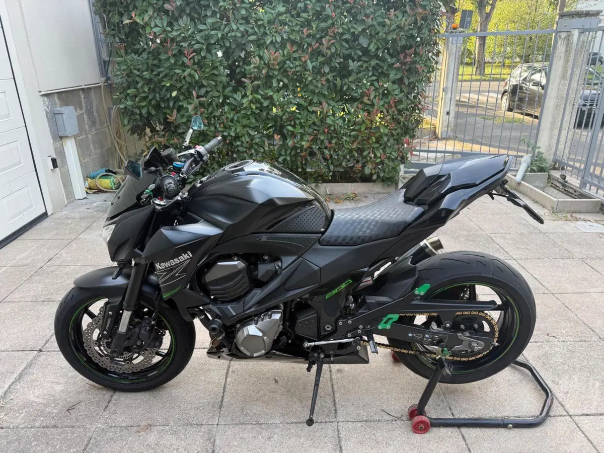Kawasaki Z 800 ABS (2012 - 16) (2)