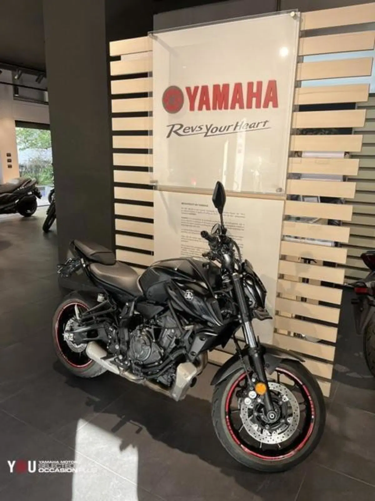 Yamaha MT-07 (2021 - 24) (3)