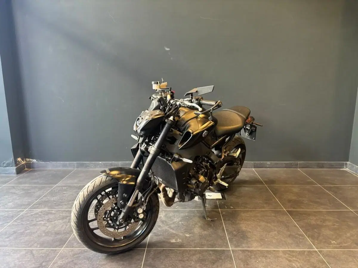 Yamaha MT-09 (2021 - 23) (2)