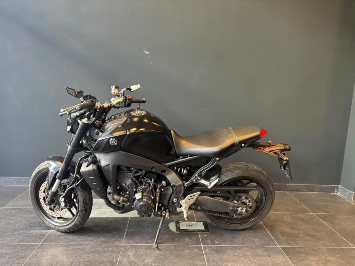 Yamaha MT-09 (2021 - 23) (4)