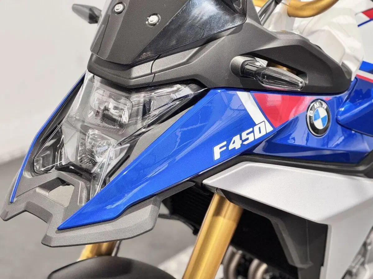 Bmw F 450 GS (2026) (7)