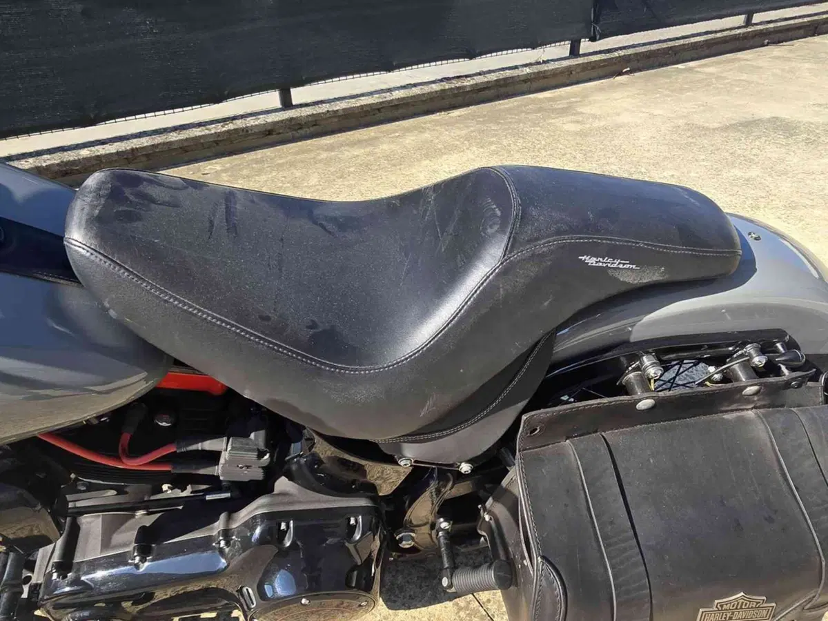 Harley-Davidson 1690 Slim (2011 - 16) - FLS (24)