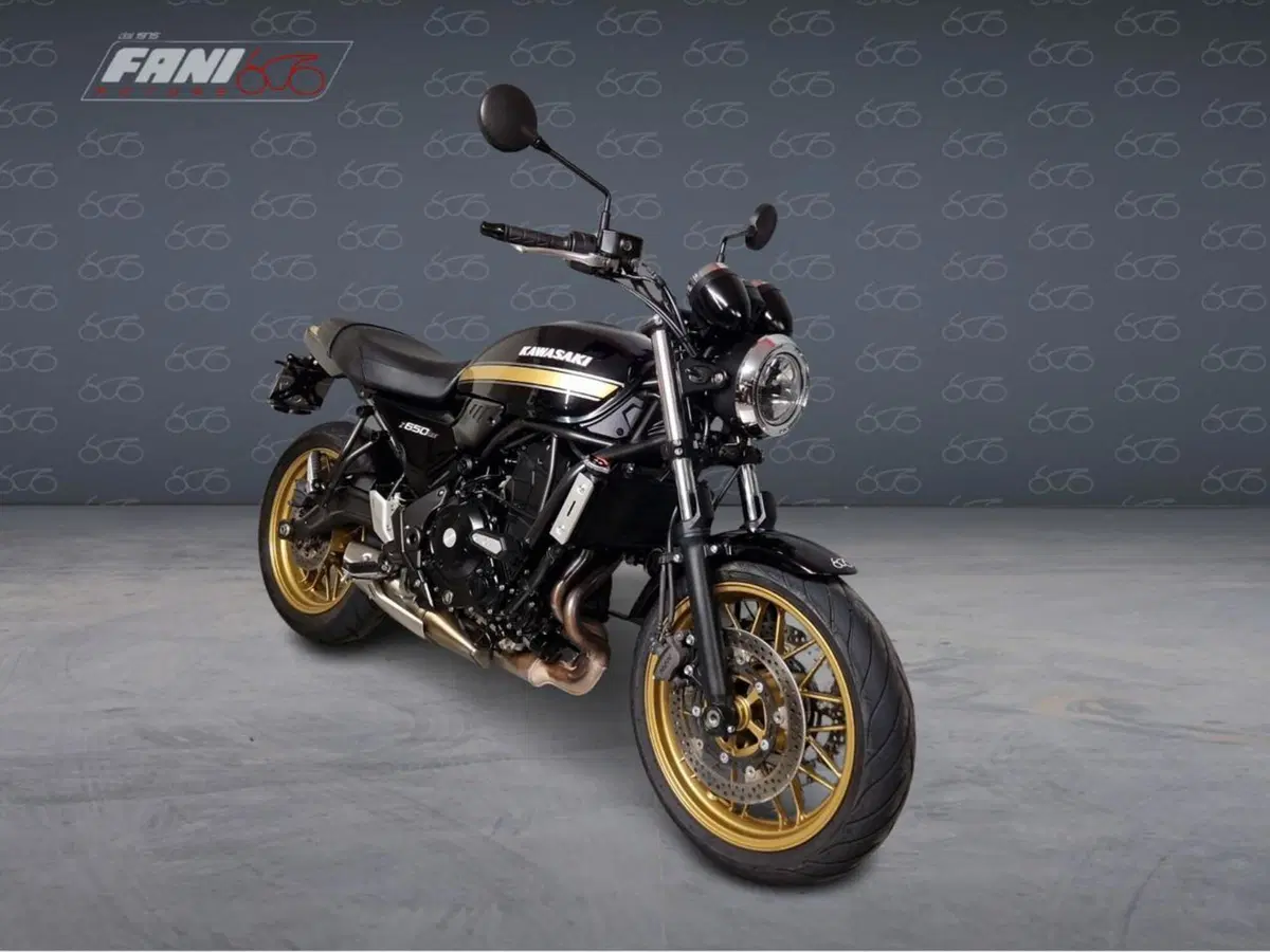 Kawasaki Z 650 RS (2025 - 27) (6)