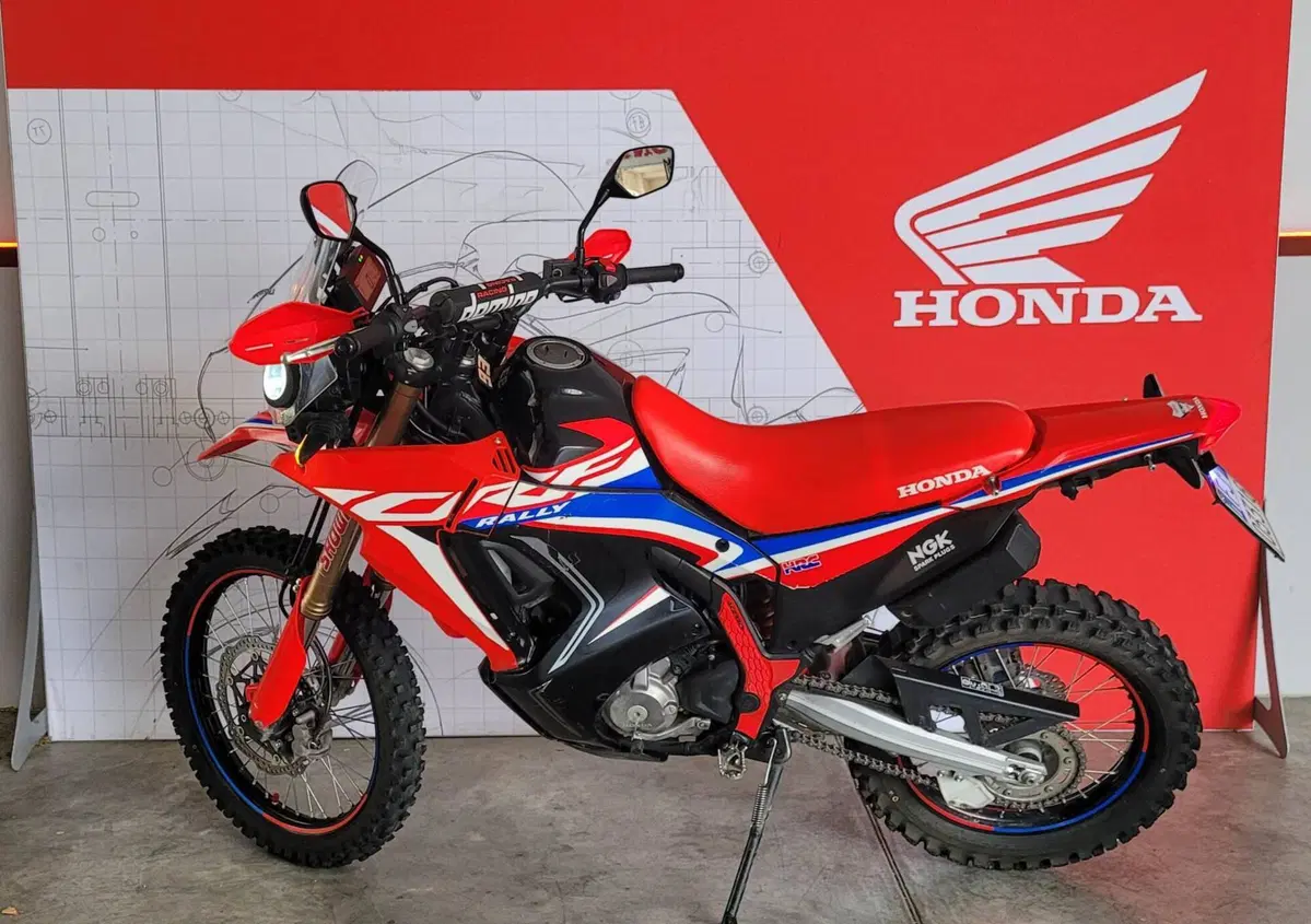Honda CRF 300 Rally (2021 - 24) (2)