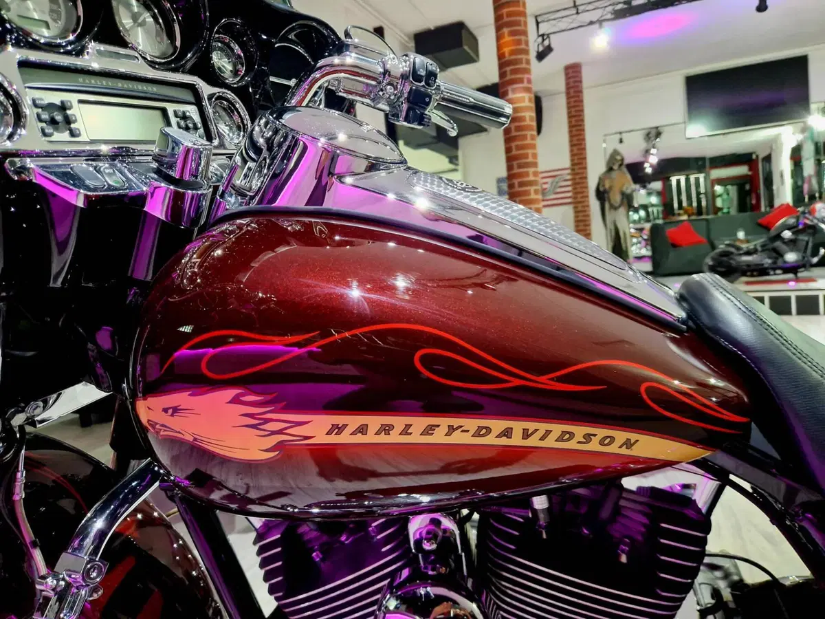 Harley-Davidson 110 Street Glide (2016) - FLHXSE (6)