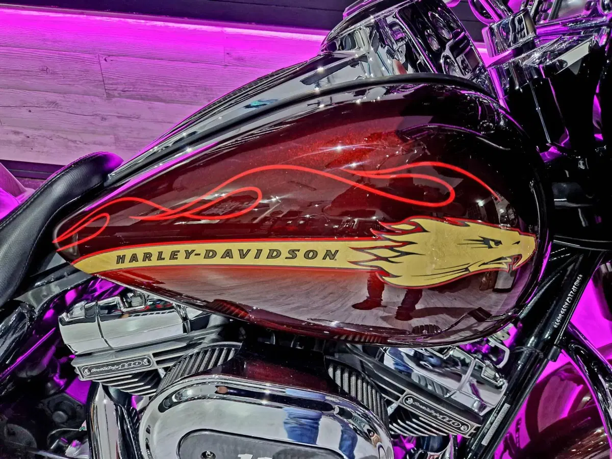 Harley-Davidson 110 Street Glide (2016) - FLHXSE (9)