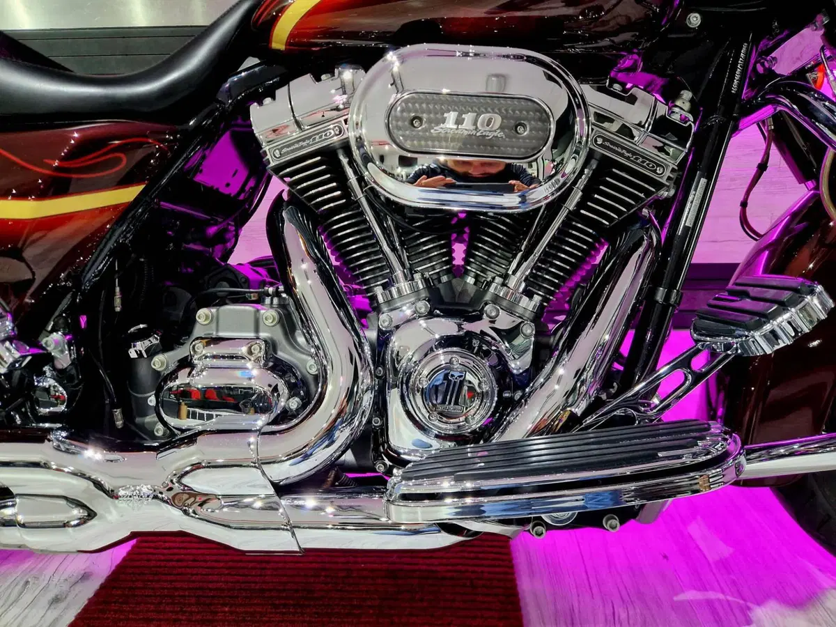 Harley-Davidson 110 Street Glide (2016) - FLHXSE (10)