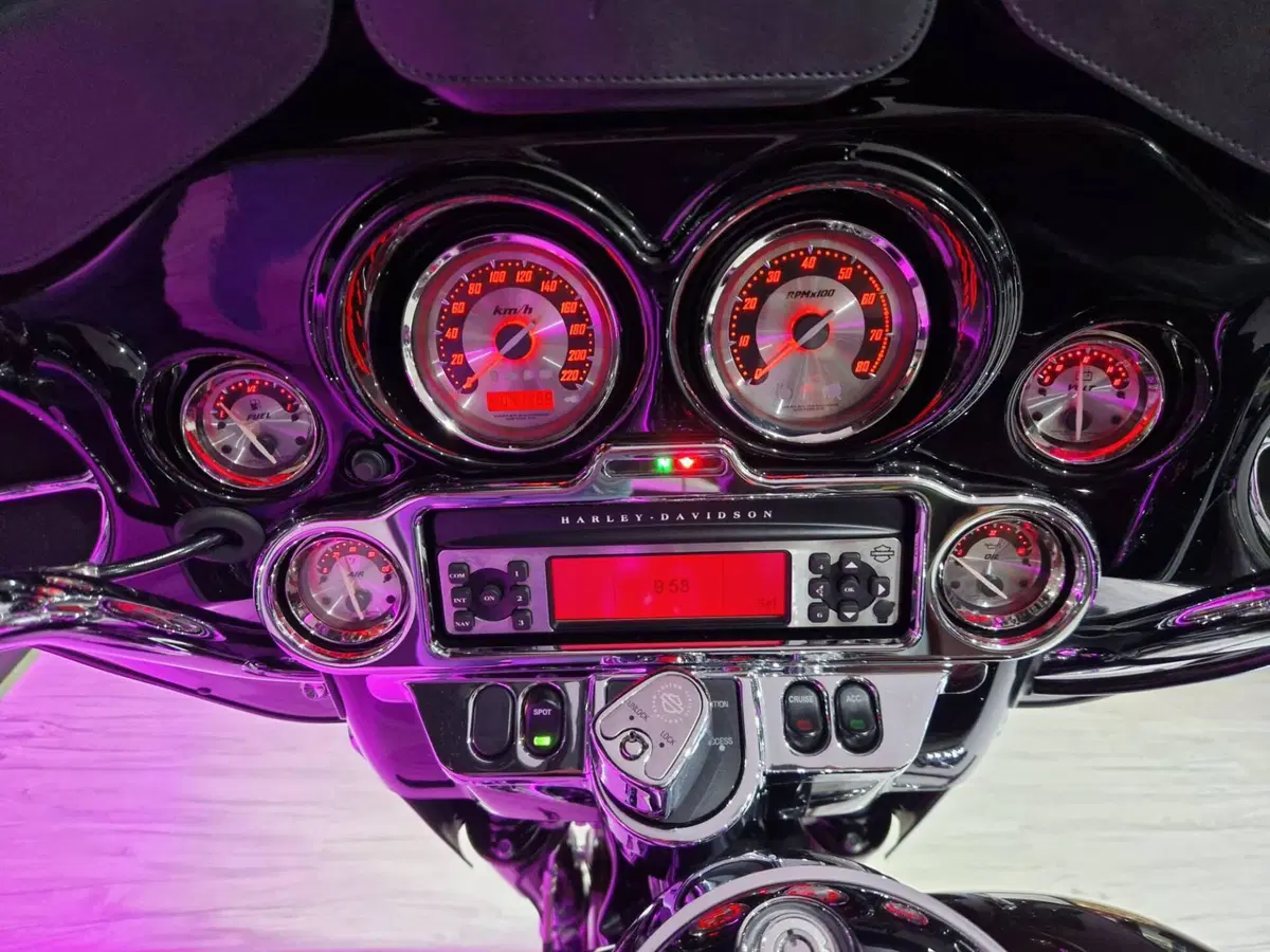 Harley-Davidson 110 Street Glide (2016) - FLHXSE (15)