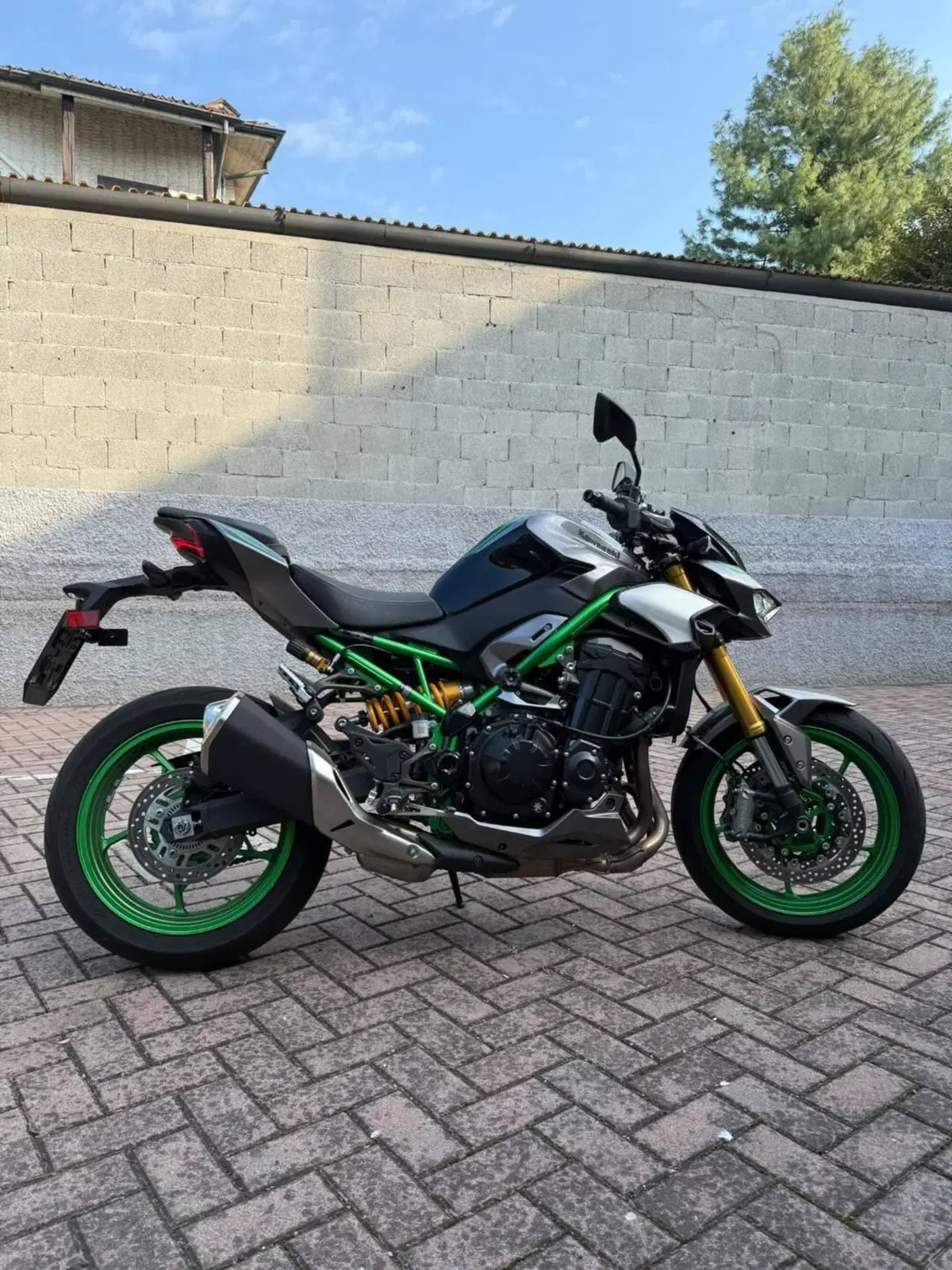 Kawasaki Z 900 SE (2025 - 27) (3)