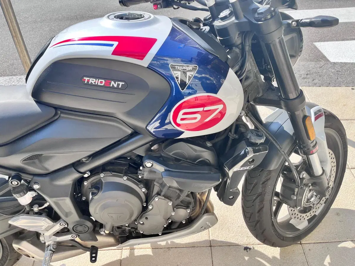 Triumph Trident 660 Triple Tribute Edition (2024) (2)