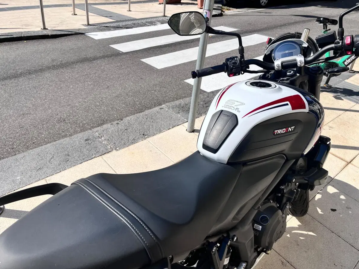 Triumph Trident 660 Triple Tribute Edition (2024) (5)