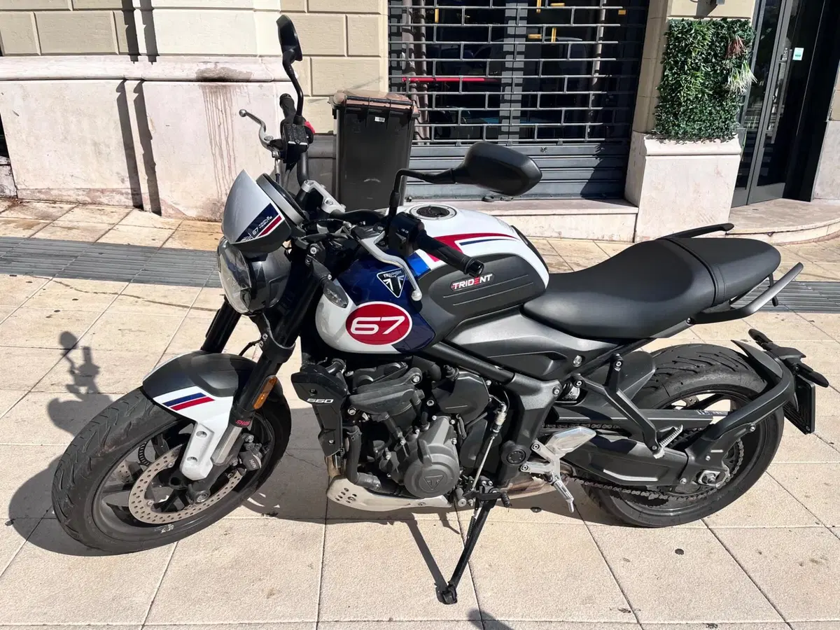 Triumph Trident 660 Triple Tribute Edition (2024) (7)
