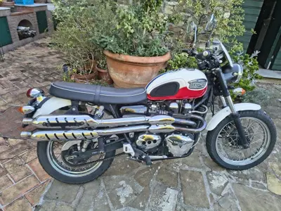 Triumph Scrambler (2006 - 17) usata