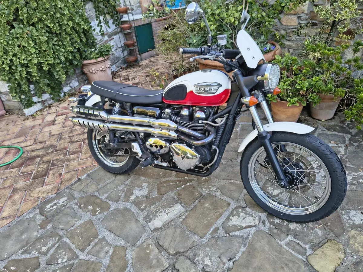 Triumph Scrambler (2006 - 17) (3)